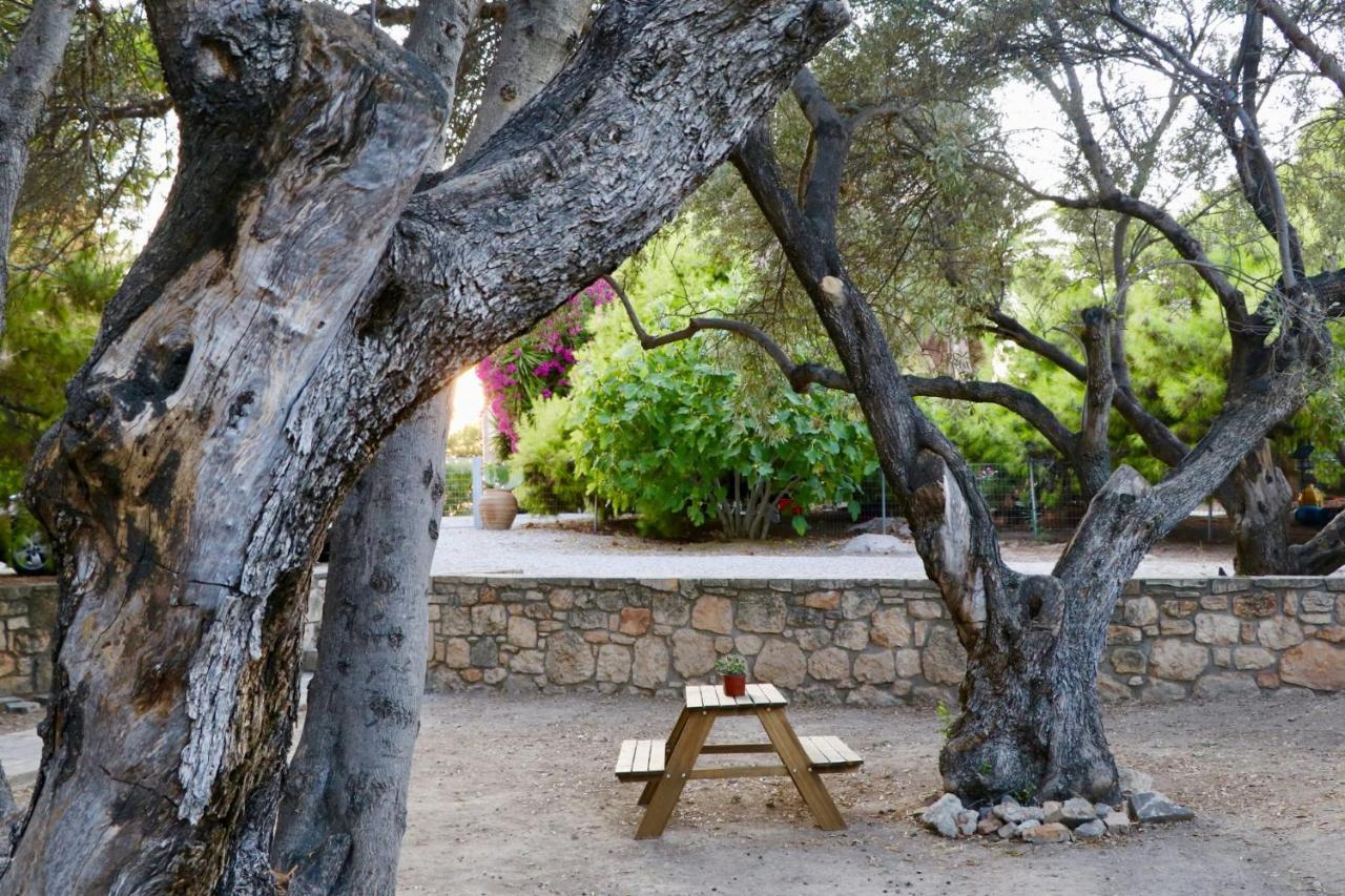 Aegina Pyrgos Ralli Estate Guesthouse מראה חיצוני תמונה