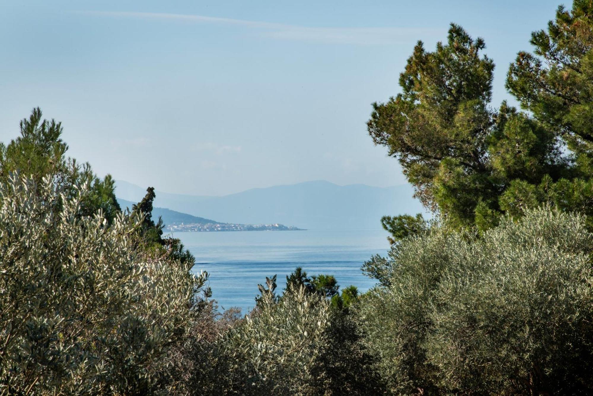 Aegina Pyrgos Ralli Estate Guesthouse מראה חיצוני תמונה