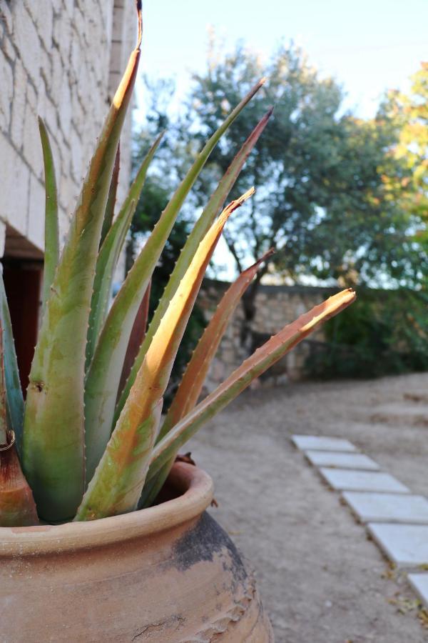 Aegina Pyrgos Ralli Estate Guesthouse מראה חיצוני תמונה